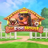 The Dog House